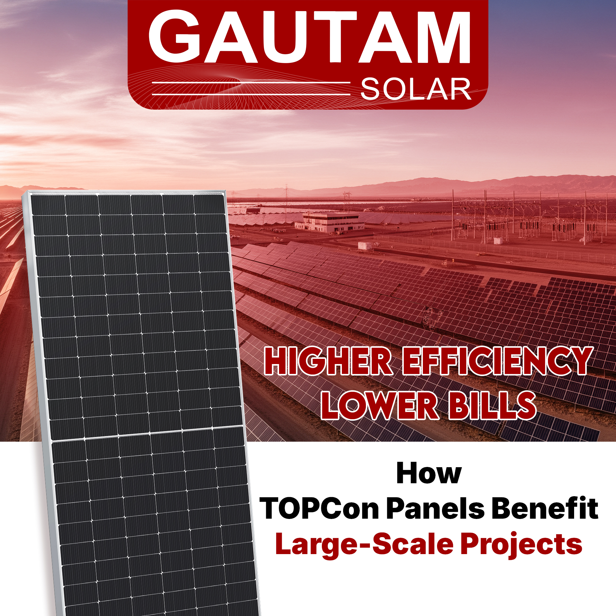 Higher Efficiency, Lower Bills: How TOPCon Panels Benefit Large-Scale Projects